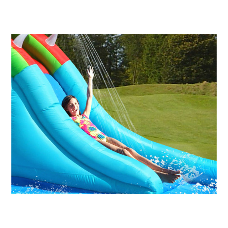 Crickey Crocodile Wet & Dry Water Slide