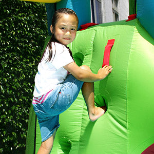 Puppy Land Jumping Castle