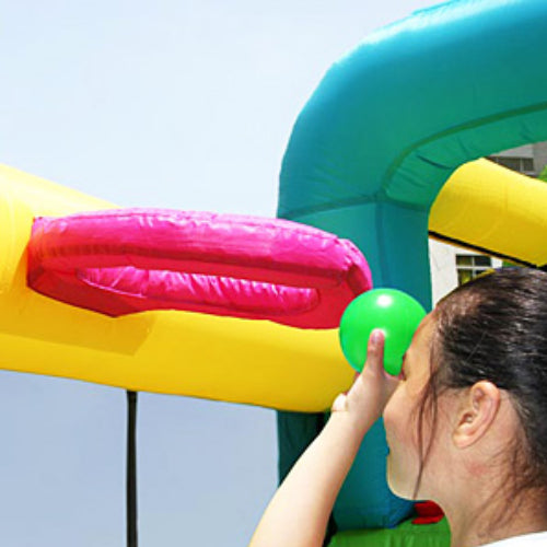 Puppy Land Jumping Castle