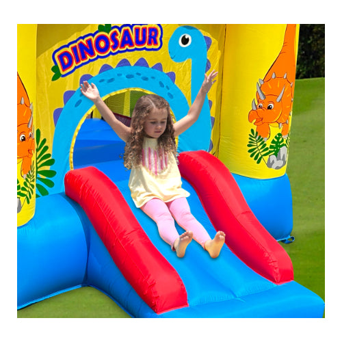 Dinosaur Slide & Hoop Bouncer