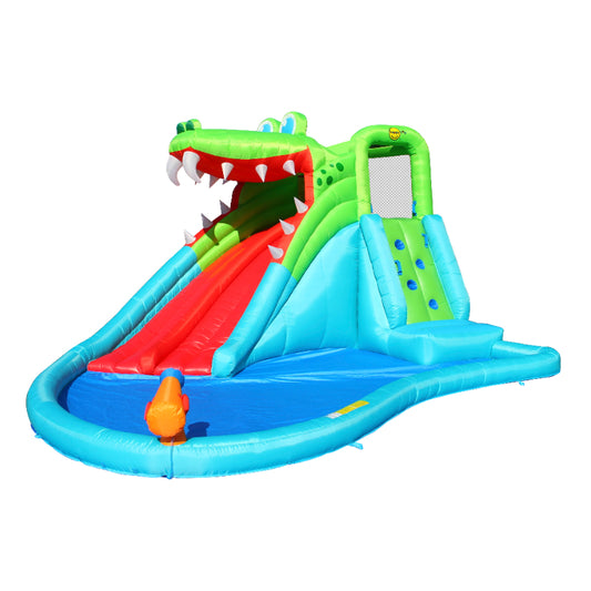 Crocodile Double Slide Fun Park
