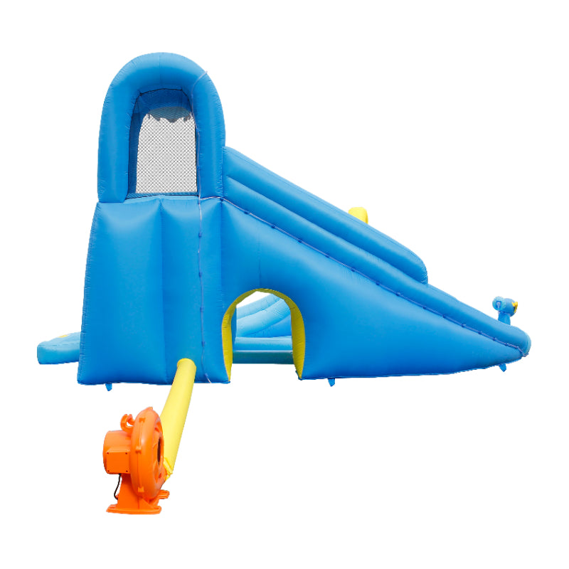 Shark Double Slide Fun Zone