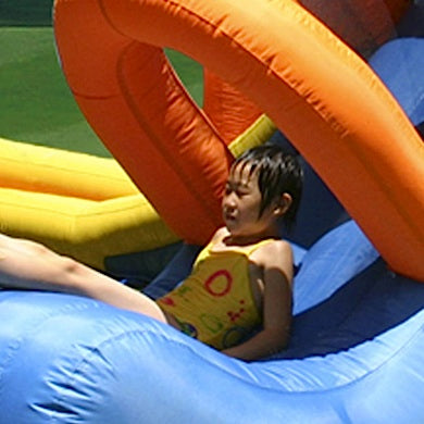 Monster Park Inflatable Water Slide- Wet & Dry